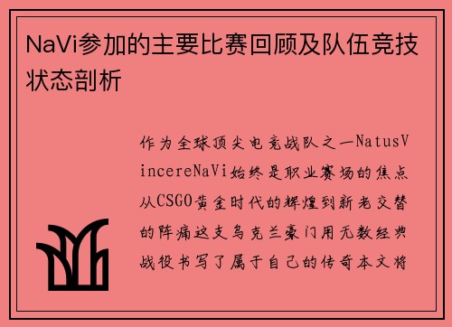 NaVi参加的主要比赛回顾及队伍竞技状态剖析